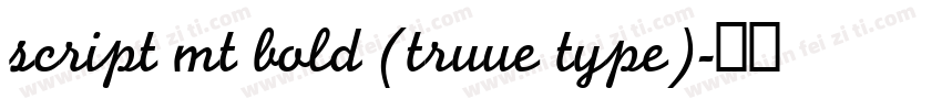 script mt bold (truue type)字体转换